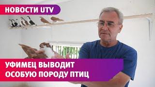 Уфимец 50 лет выводит уникальную породу голубей. Познакомьтесь с Ринатом Шакировым