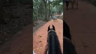 Horse riding at matheran