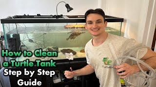 How To Clean a Turtle Tank in 30 Minutes! (Step by Step)