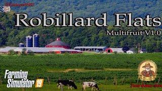 Farming Simulator 19 /Robillard Flats #2/ Сеем подсолнух