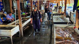 ХОРАЗМ БАЛИК БОЗОРИ АРЗОНЧИЛИК | РЫБНЫЙ РЫНОК | FISH MARKET