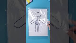 How Does Food Travel Inside Us? Dad’s DIY Digestive System! #DIY #learning
