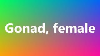 Gonad, female - Medical Meaning and Pronunciation