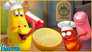 LARVA SEASON 2 EPISODE: Chef - COMICS - MINI SERIES FROM ANIMATION