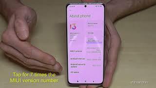 Xiaomi 12 (Pro): How to enable and disable the Developer Options?