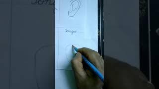 Easy way of drawing tongue