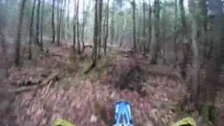 Valley dec 5.wmv