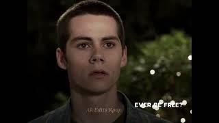 Stiles Stilinski  ( Lost My Mind )