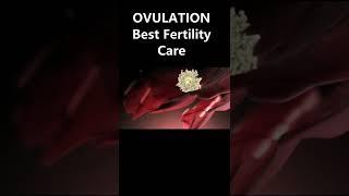 OVULATION / PREGNANCY/Best Gynaecologist Ahmedabad /Dr Dipti Jain / YouTube Shorts