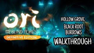 HOLLOW GROVE - BLACK ROOT BURROWS WALKTHROUGH | ORI AND THE BLIND FOREST DEFINITIVE EDITION