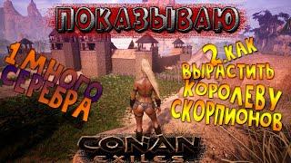 много серебра и питомец королева скорпионов/CONAN EXILES/гайд