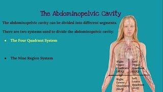 CHAPTER 1 Introduction to Anatomy and Physiology