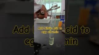 Xanthoproteic Test-Egg Albumin || (Nitric Acid & heat) ||12th chemistry#science