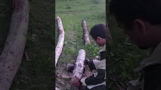 #Нет пилы нет проблем