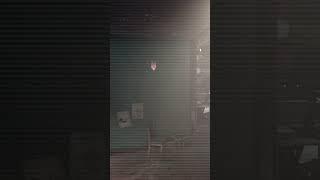 Let me check the cameras one more time.