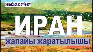 Ирандын жапайы жаратылышы.  Жаныбарлар  дуйносу