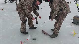 Поимки форели на актив и пассив. Клёвое место, Лосиный остров, нижний водоём.