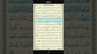 Surah Al Baqarah 26 - Mishary Rashid Alafasy