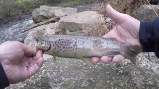 Part 1 October trout fishing  Out and about OutDoors with Ron and Friends Episode 67 Season 1