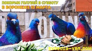 Воронеж кормит голубей в субботу 13 марта.  Прямой эфир 14:00. Свободу России, Хабаровску, Беларуси.