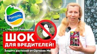 Шок для вредителей! Средства защиты от тли, трипсов, насекомых, клещей - Марина Рыкалина советует!