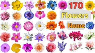 Flowers Vocabulary ll 170 Flowers Name In English With Pictures ll Names of Different Flowers