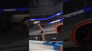 CHENG ALERT‼️ New cheng vault from Skye Blakely!!