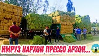 Имруз нархои прессо дар молбозори ш.Истаравшан