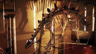 Exploring the Museum’s Most Priceless & Mysterious Treasures (4K Documentary)