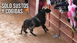 Toros Bravos Solo Sustos y Cogidas