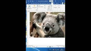 How To Convert Color Image To Black and White In Microsoft Word