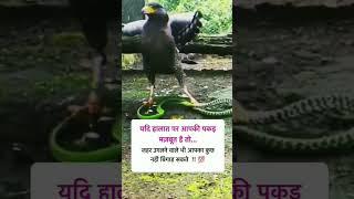 Motivational Quotes ।। Motivational Thoughts ।। Positive Vibes ।। #motivation #shorts #video #viral