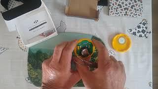 Optimum time OS315 sailing watch battery replacement and reset process