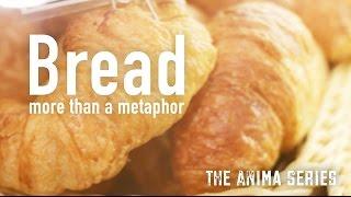 Bread: More Than A Metaphor | Jon Jorgenson