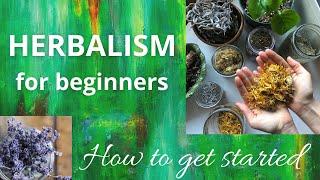 Herbalism for beginners - How to get started