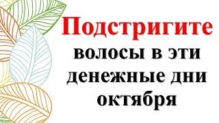 Когда стричь волосы в октябре 2024 для привлечения достатка и денег. Стрижка по лунному календарю