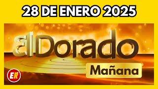 DORADO MAÑANA de HOY Resultado martes 28 de Enero  de 2025 