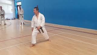 Kagawa Shihan explaining about "Stamping" techniques