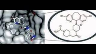 Lonafarnib induces a CCAAT/enhancer-binding