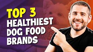 Best Healthy Dog Food For 2025