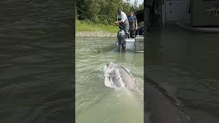 #Fishing #FishingFanatics #EpicCatch