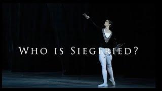 Xander Parish - Who is Siegfried?