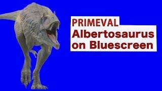 Primeval Albertosaurus on Green Screen