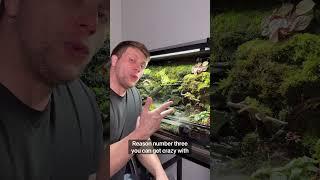 5 Reasons They’re Better! #fyp #youtubeshort #bioactive