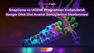 SnapGene ve UGENE Programları Kullanılarak Sanger DNA Dizi Analizi Sonuçlarının İncelenmesi