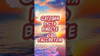 Очень Красивые пожелания с добрым утром️С добрым утром и хорошим днем #доброеутро #сдобрымутром