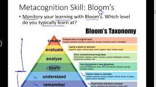 Metacognition Skills Learning to Learn