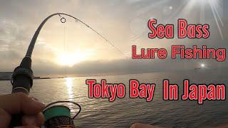 【シーバスデイゲーム】Sea Bass Lure Fishing ! Tokyo Bay in Japan