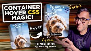 Grow, Shrink & Appear on Container Hover - Free CSS