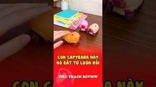 Con capbybara này nó bất tử luôn rồi #shorts